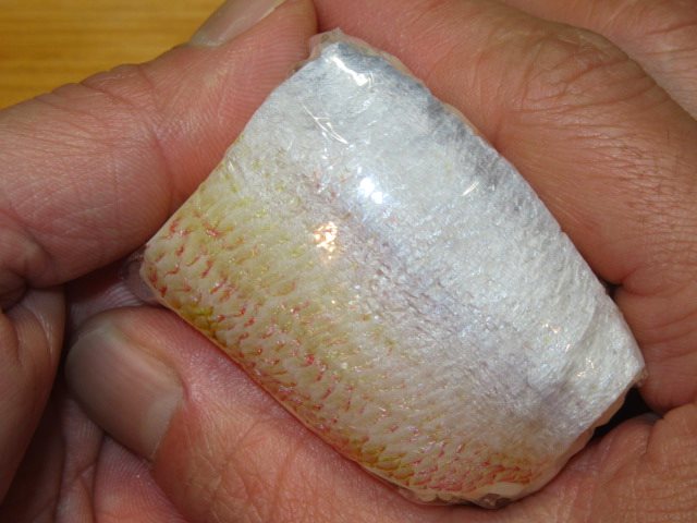 小鯛の笹漬けを使ったひな寿司の作り方手順,形を作る工程