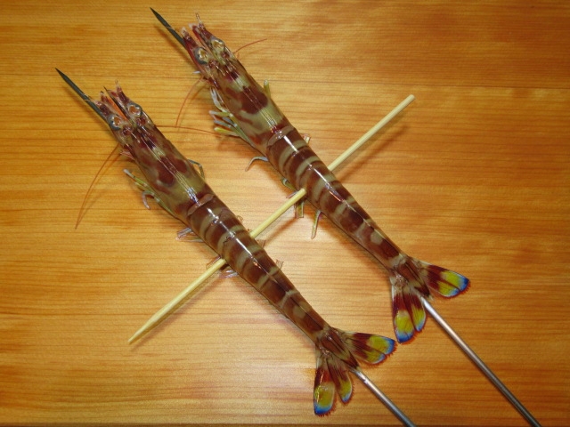 車海老の塩焼きの作り方手順,串打ち方法,のし串