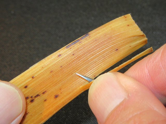 竹の皮を細く裂く工程